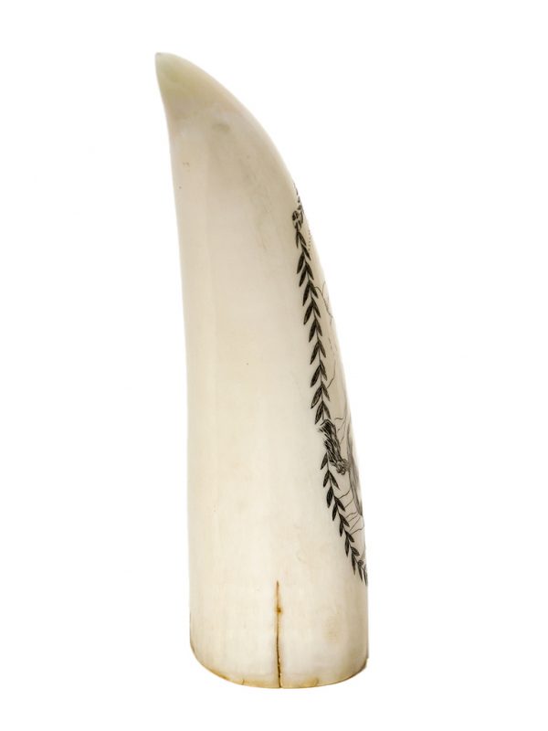 Ray Peters Scrimshaw - Unicorn Scrimshaw