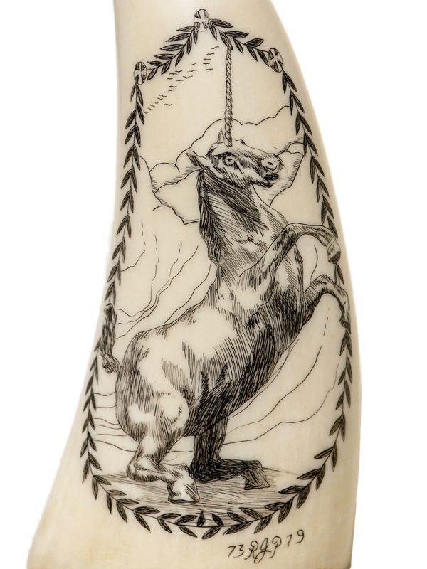 Ray Peters Scrimshaw - Unicorn Scrimshaw