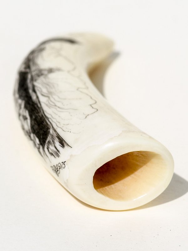 Ray Peters Scrimshaw - Close to Whale