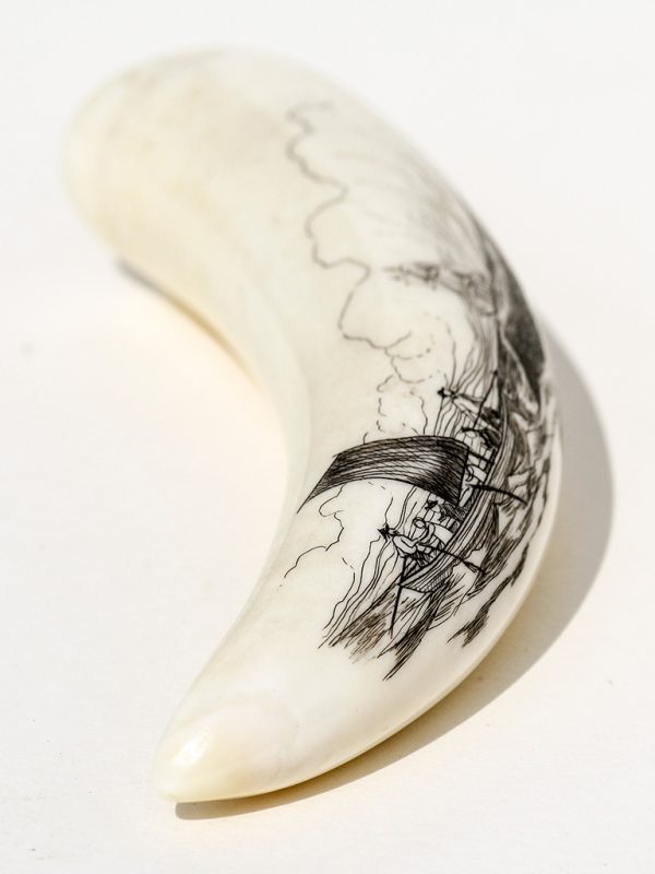 Ray Peters Scrimshaw - Close to Whale