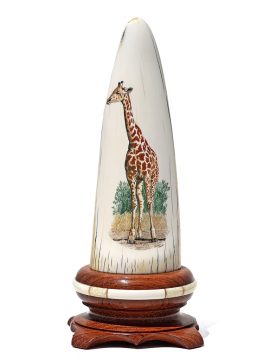 Gary Williams Scrimshaw - Elegant Giraffe