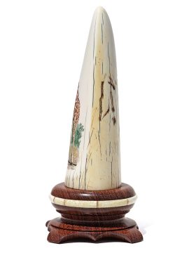 Gary Williams Scrimshaw - Elegant Giraffe