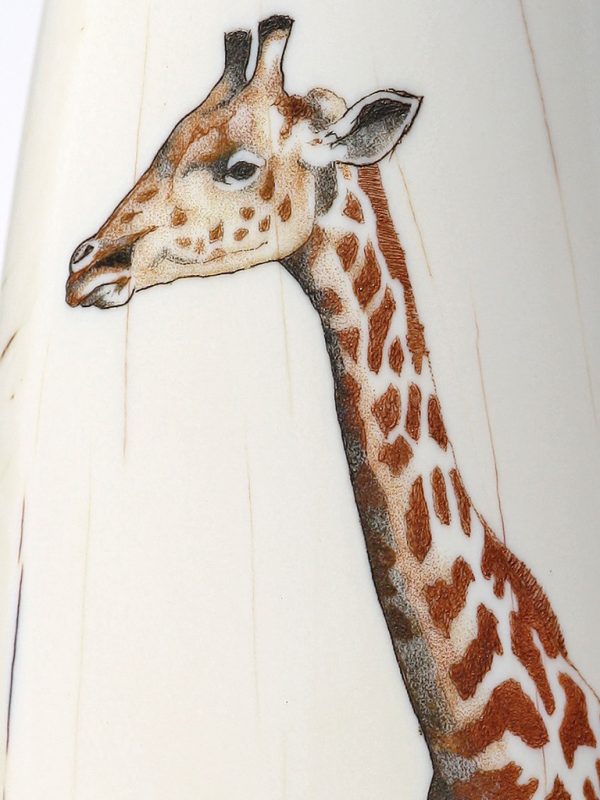 Gary Williams Scrimshaw - Elegant Giraffe