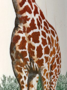 Gary Williams Scrimshaw - Elegant Giraffe