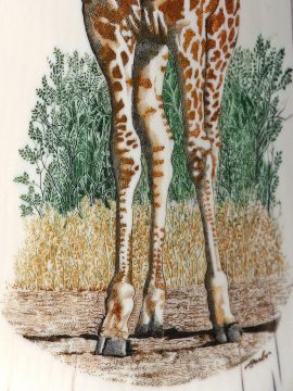 Gary Williams Scrimshaw - Elegant Giraffe