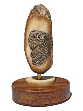 David Adams Scrimshaw - Spotted Owl