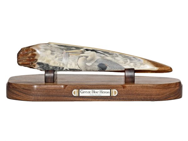 David Adams Scrimshaw - Great Blue Heron