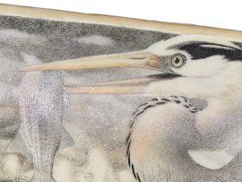 David Adams Scrimshaw - Great Blue Heron