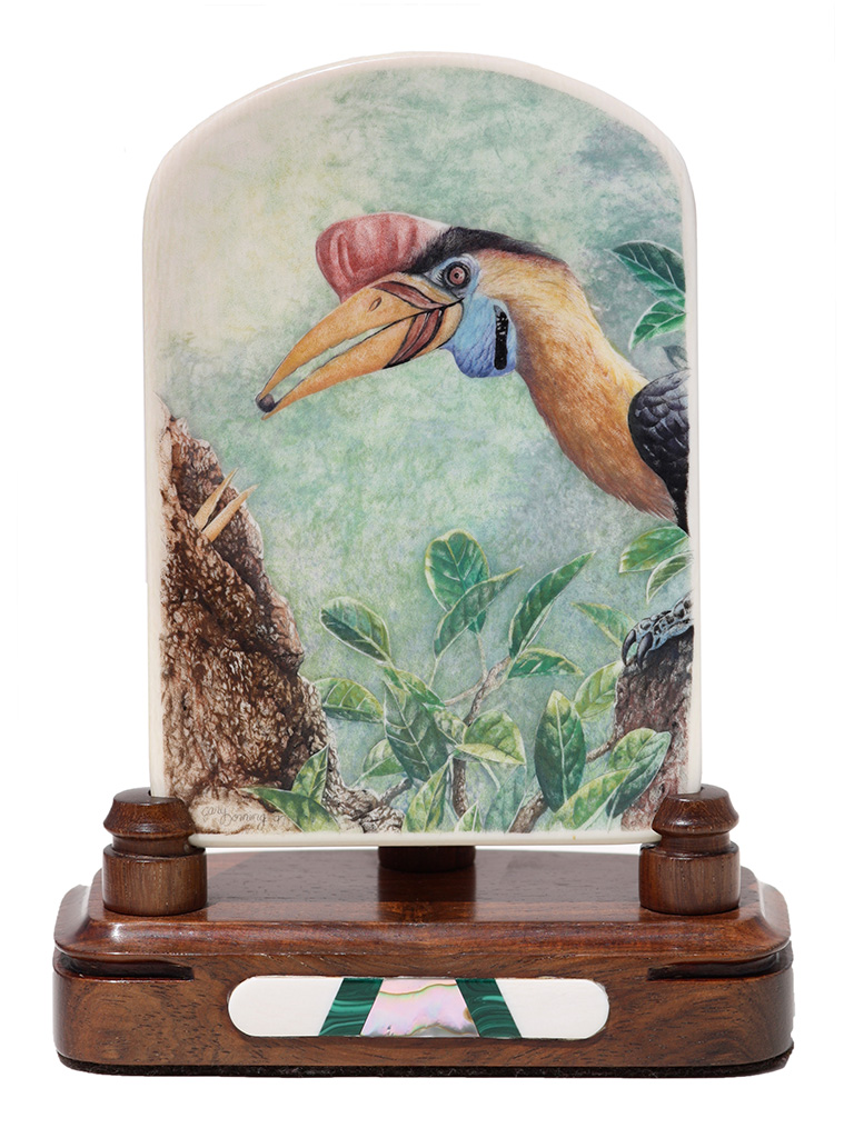 Gary Dorning Scrimshaw - Hornbill