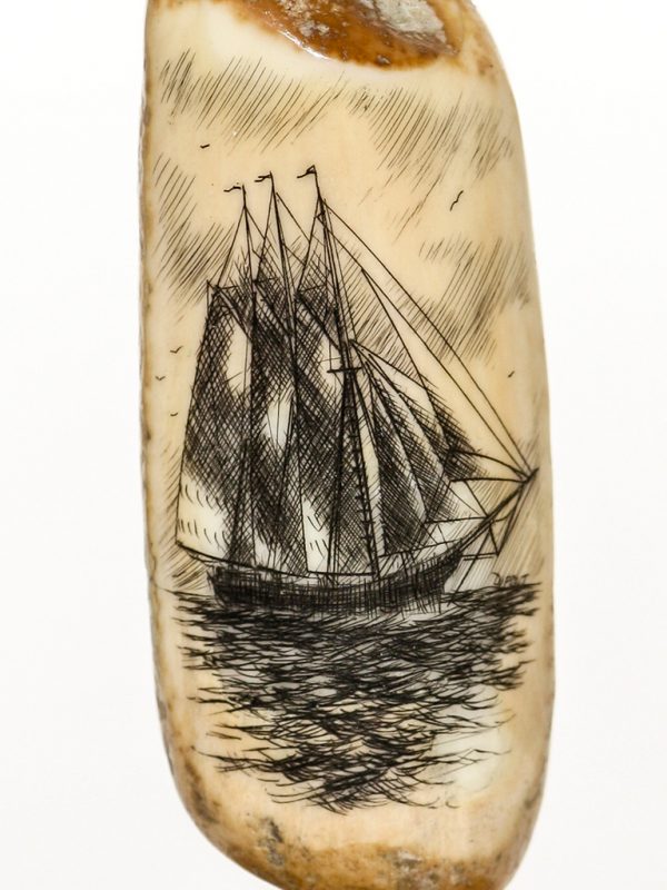 Gerry Dupont Scrimshaw - Schooner Yacht Atlantic