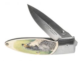 Matt Stothart Scrimshaw - Peregrine and Kestrel Knife