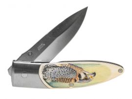 Matt Stothart Scrimshaw - Peregrine and Kestrel Knife