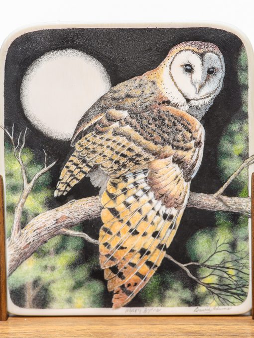 M. Byrne D. Adams Scrimshaw - Barn Owl in Full Moon
