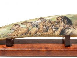 Matt Stothart Scrimshaw - Pride of Lions