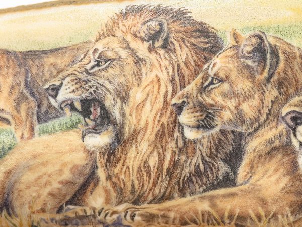 Matt Stothart Scrimshaw - Pride of Lions