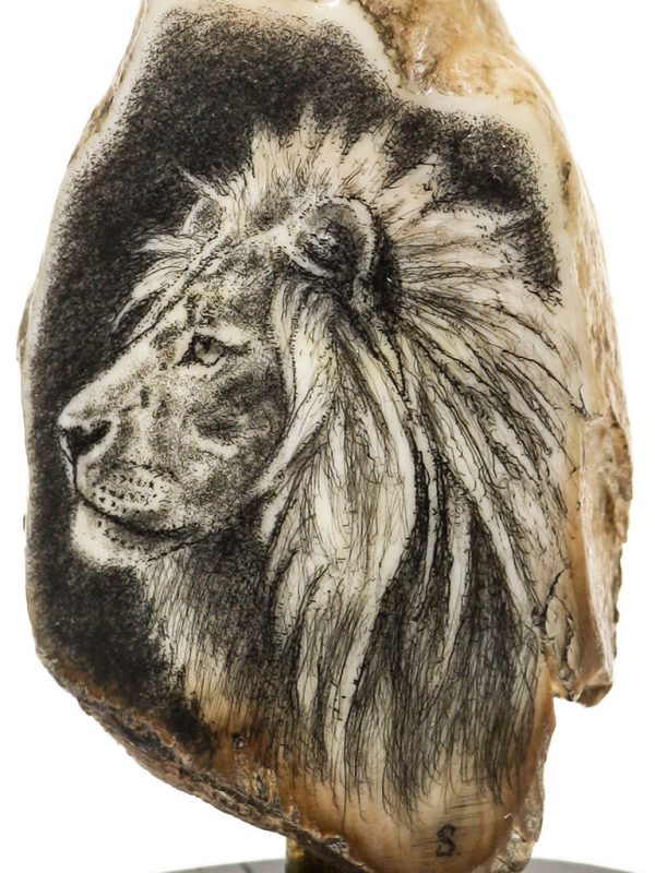 David Smith Scrimshaw - King of the Jungle