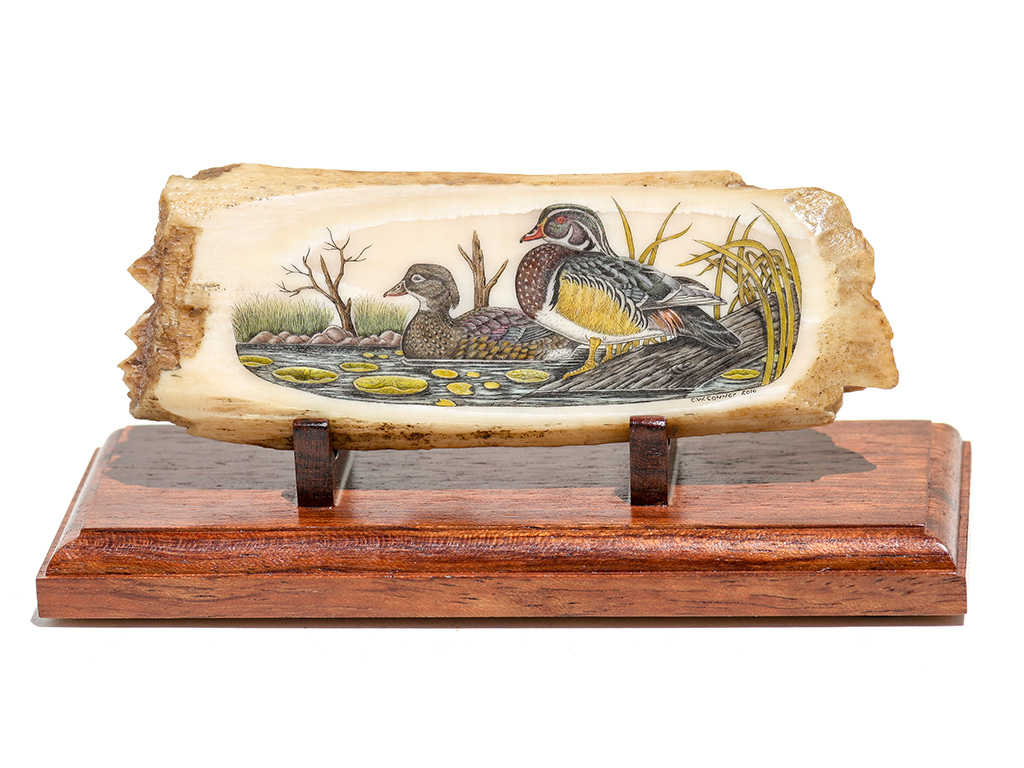 Charles W. Conner Scrimshaw - Woodduck Pair