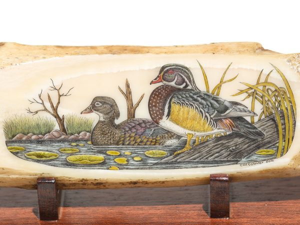 Charles W. Conner Scrimshaw - Woodduck Pair