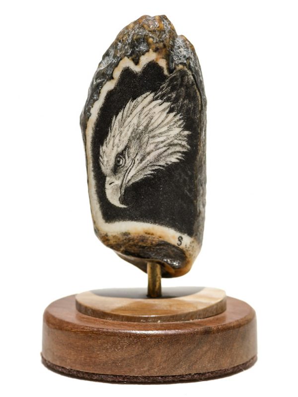 David Smith Scrimshaw - Diving Bald Eagle - Scrimshaw Collector