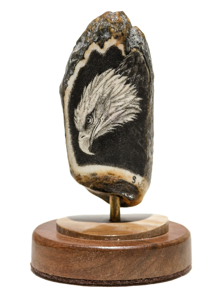 David Smith Scrimshaw - Diving Bald Eagle