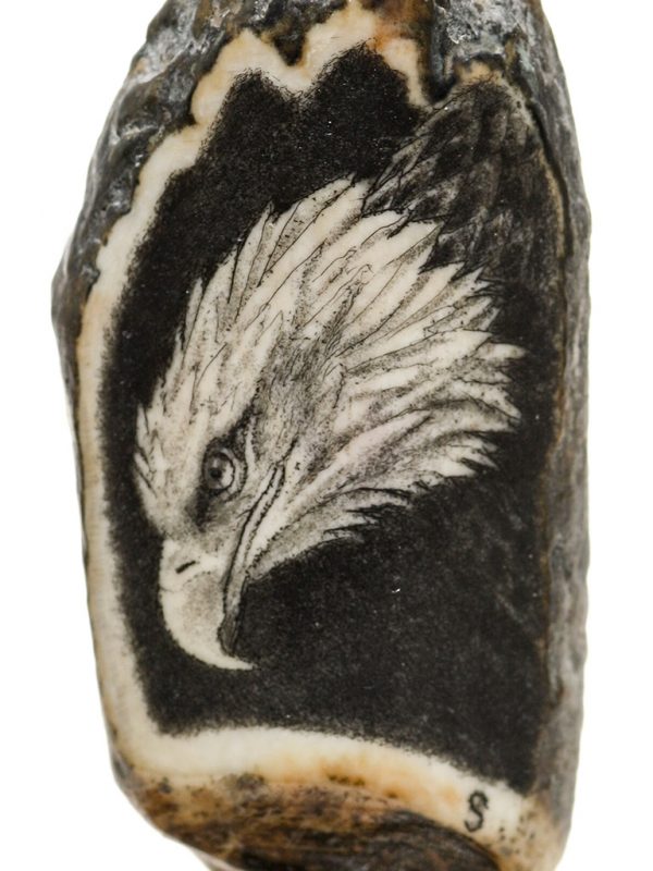 David Smith Scrimshaw - Diving Bald Eagle