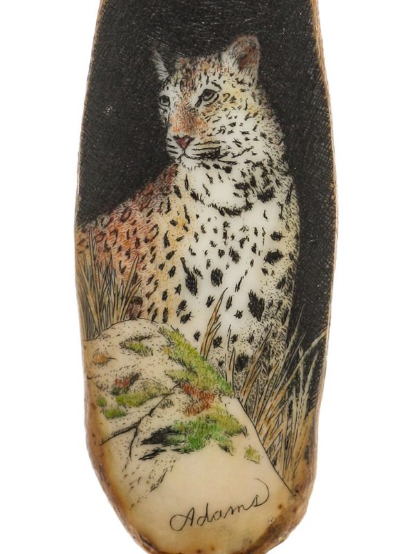 David Adams Scrimshaw - Leopard Hunting at Night