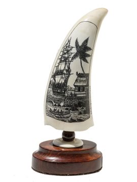 Peter Kinney Scrimshaw - South Seas Harbor Scene