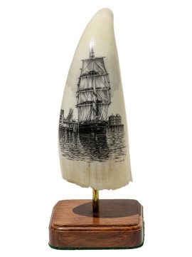 Dan Cronan Scrimshaw - Wanderer Drying Sails