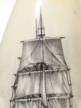 Dan Cronan Scrimshaw - Wanderer Drying Sails