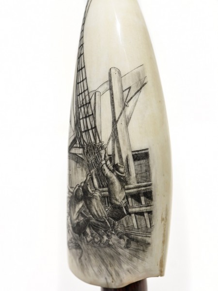 Salman Rashidi Scrimshaw - All Together Haul - Scrimshaw Collector