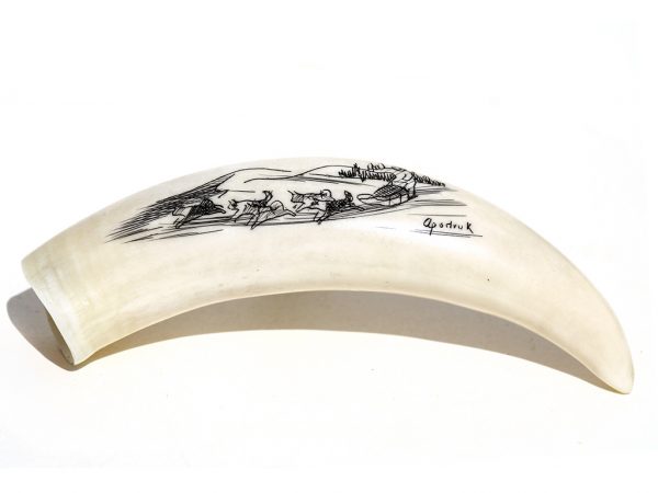 Scrimshaw by Aportruk - Native on Sled with Dogs
