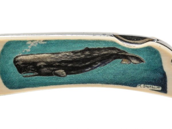 Matt Stothart Scrimshaw - Whale and Squid Scrimshaw Knife