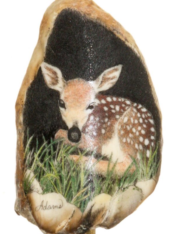 David Adams Scrimshaw - Fawn waiting for Doe