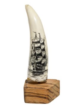 Frank Barcelos Scrimshaw - Full Sail Clipper