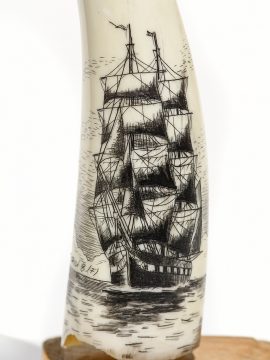 Frank Barcelos Scrimshaw - Full Sail Clipper