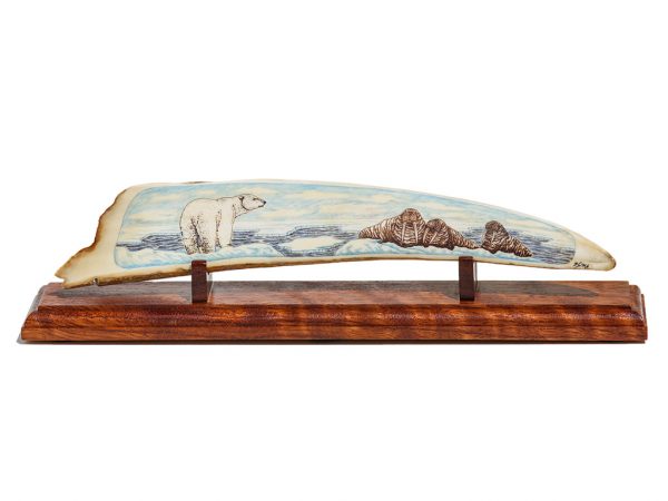 Dennis Sims Scrimshaw - Polar Bear Choosing