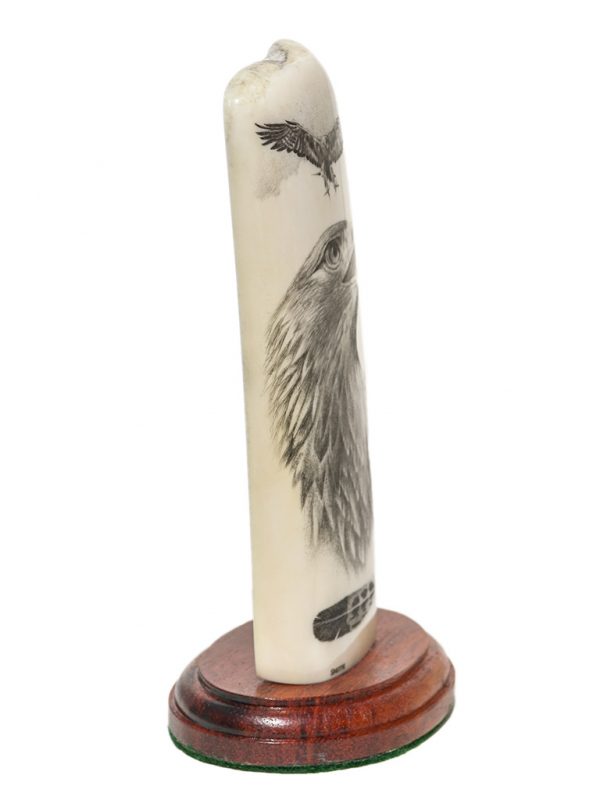 David Smith Scrimshaw - Awesome Golden Eagle