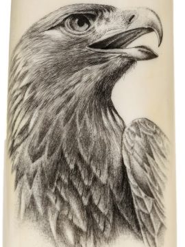 David Smith Scrimshaw - Awesome Golden Eagle