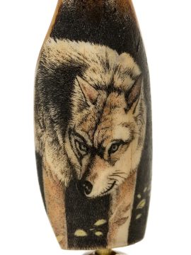 David Adams Scrimshaw - Wolf on the Prowl