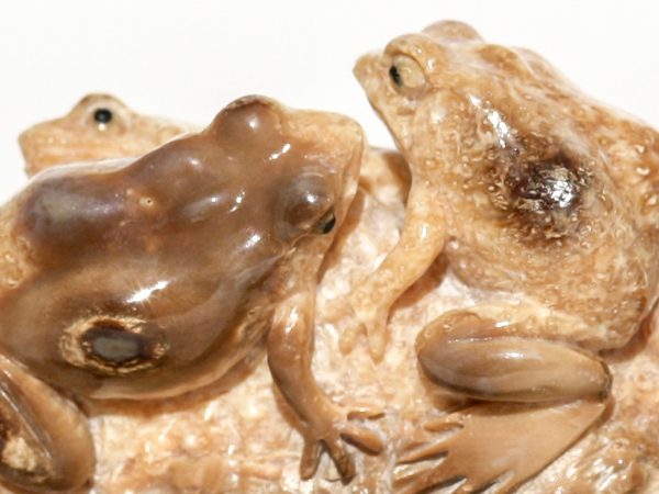 Unknown Carver - Three Slick Frogs
