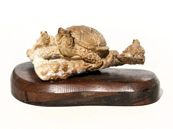 Unknown Carver - Turtle Family Portrait