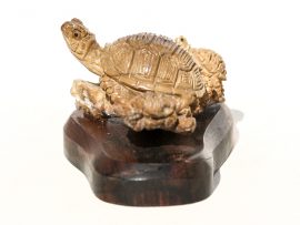 Unknown Carver - Turtle Family Portrait