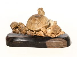 Unknown Carver - Turtle Family Portrait