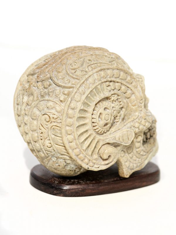 Unknown Carver- Clockwork Punk Ancient Walrus Jawbone Skull - Scrimshaw Collector