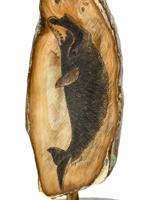 Bowhead Whale Chilling - Image 6