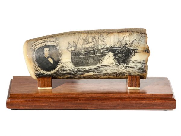 David Adams Scrimshaw - The First Captain of the Morgan