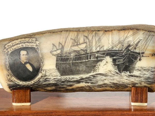 David Adams Scrimshaw - The First Captain of the Morgan