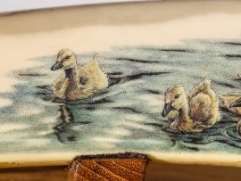 Kelly Mulford Scrimshaw - Canada Goose Goslings
