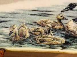 Kelly Mulford Scrimshaw - Canada Goose Goslings
