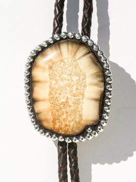 Jenkins Crafted - Fossil Walrus Ivory Bolo